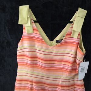 Silk striped dress NWT